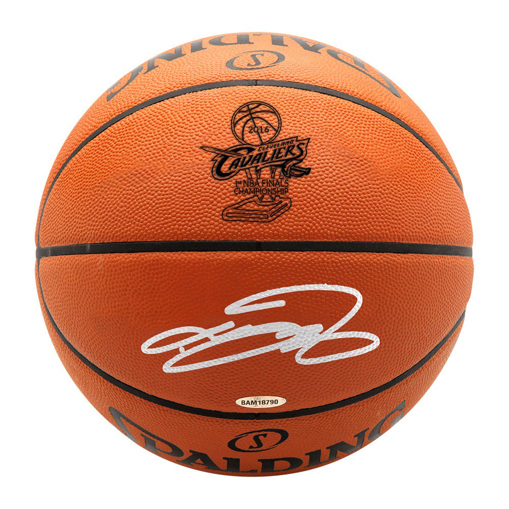 lebron james autographed basketball