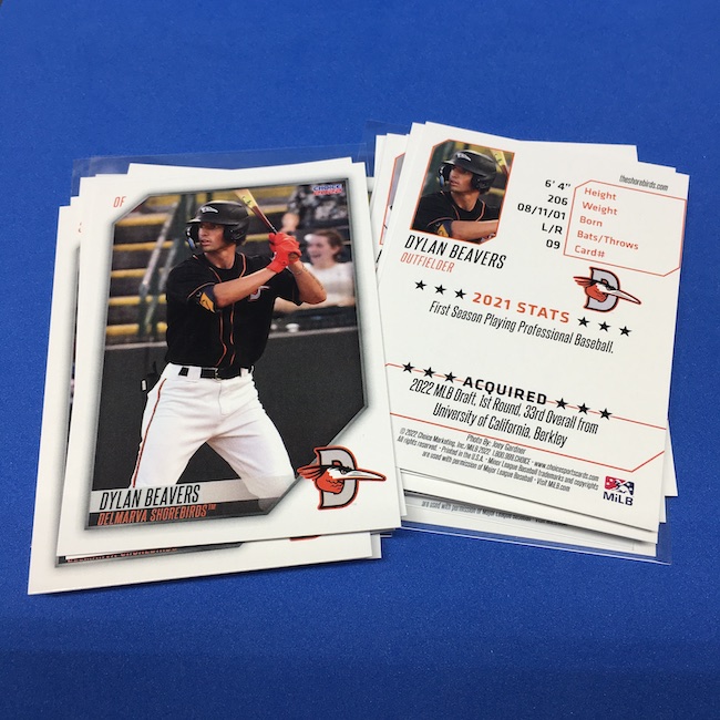 Buzz Break: 2022 Choice Delmarva Shorebirds MiLB team sets