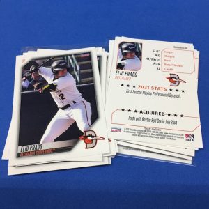 Buzz Break: 2022 Choice Delmarva Shorebirds MiLB team sets