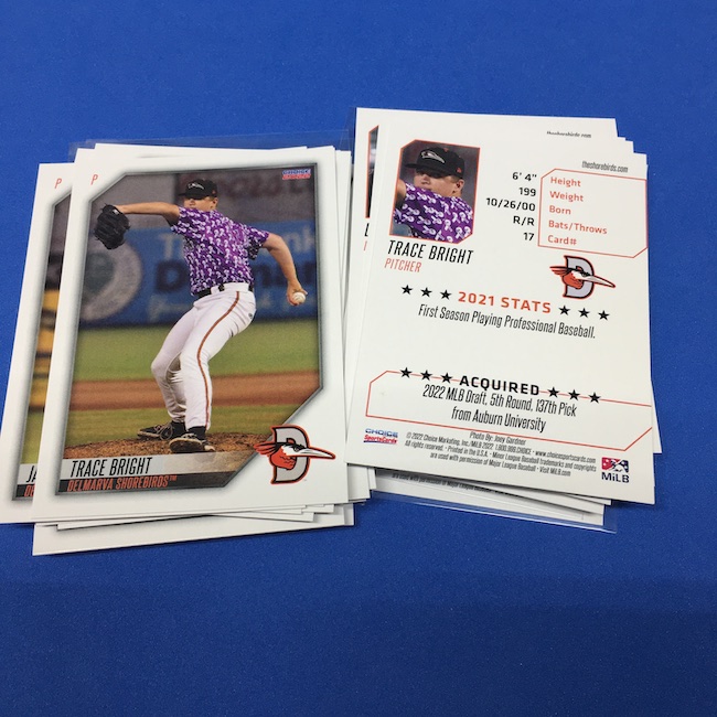 Buzz Break: 2022 Choice Delmarva Shorebirds MiLB team sets