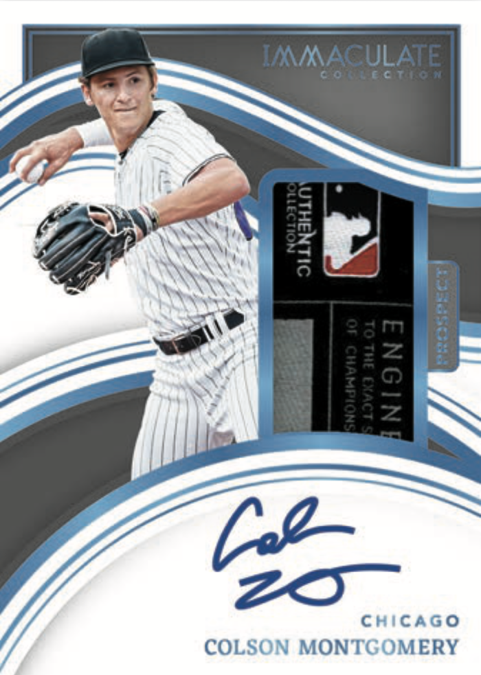 Aaron Judge 2017 Panini Immaculate Dual Patch Autograph Rookie Card 20/25